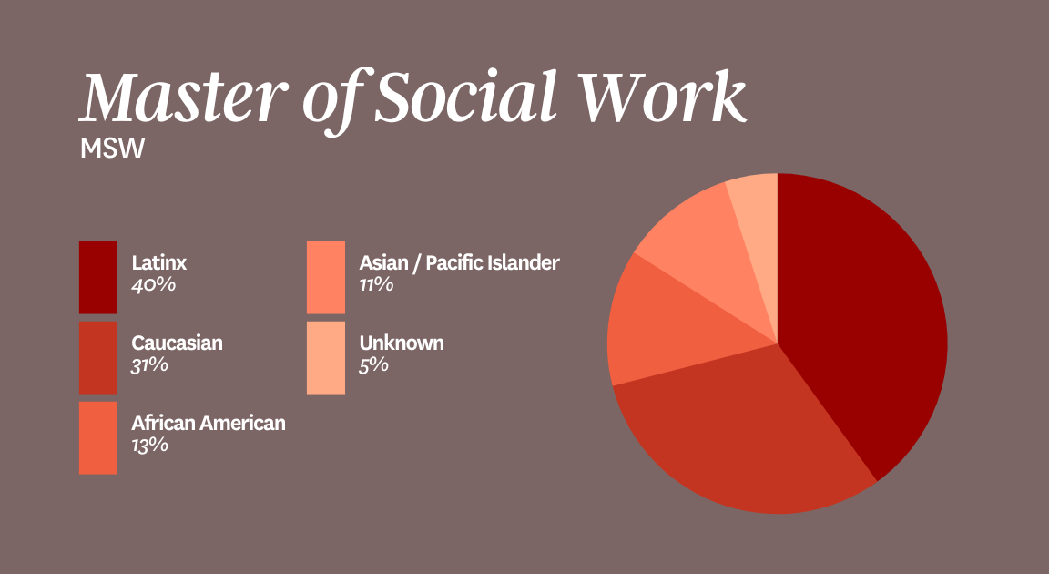 Master of Social Work chart shows a breakdown of student demographics in the MSW program.